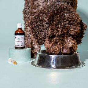 Cortisan Öl-Komplex