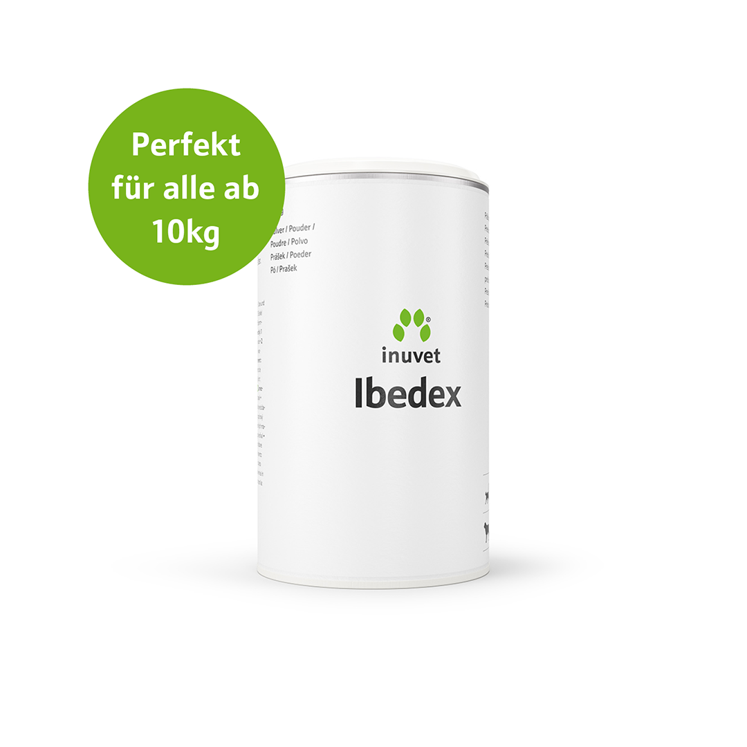 Ibedex Pulver