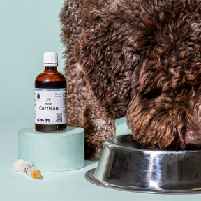 Cortisan Öl-Komplex