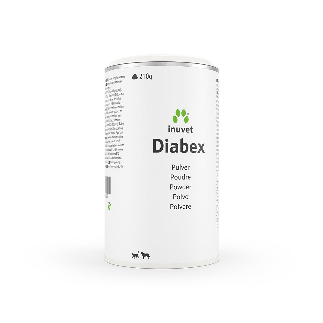 Diabex Pulver