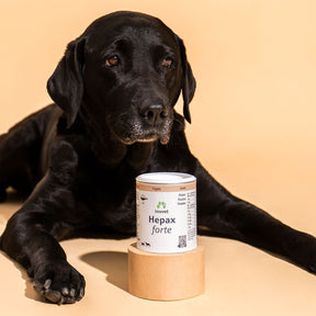 Hepax forte